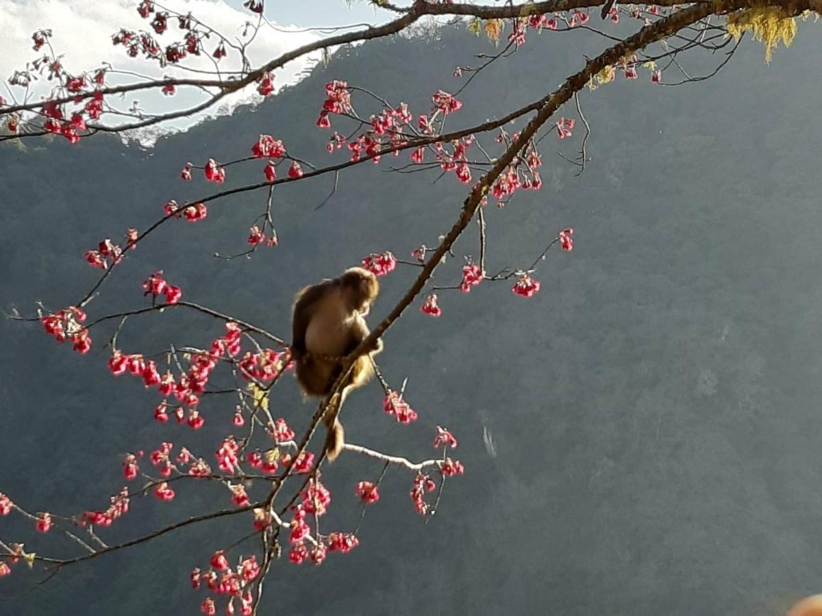慢水山丘民宿 Slow Water Hill Yuemei Eksteriør bilde