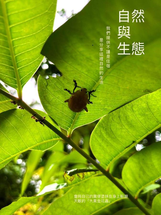 慢水山丘民宿 Slow Water Hill Yuemei Eksteriør bilde