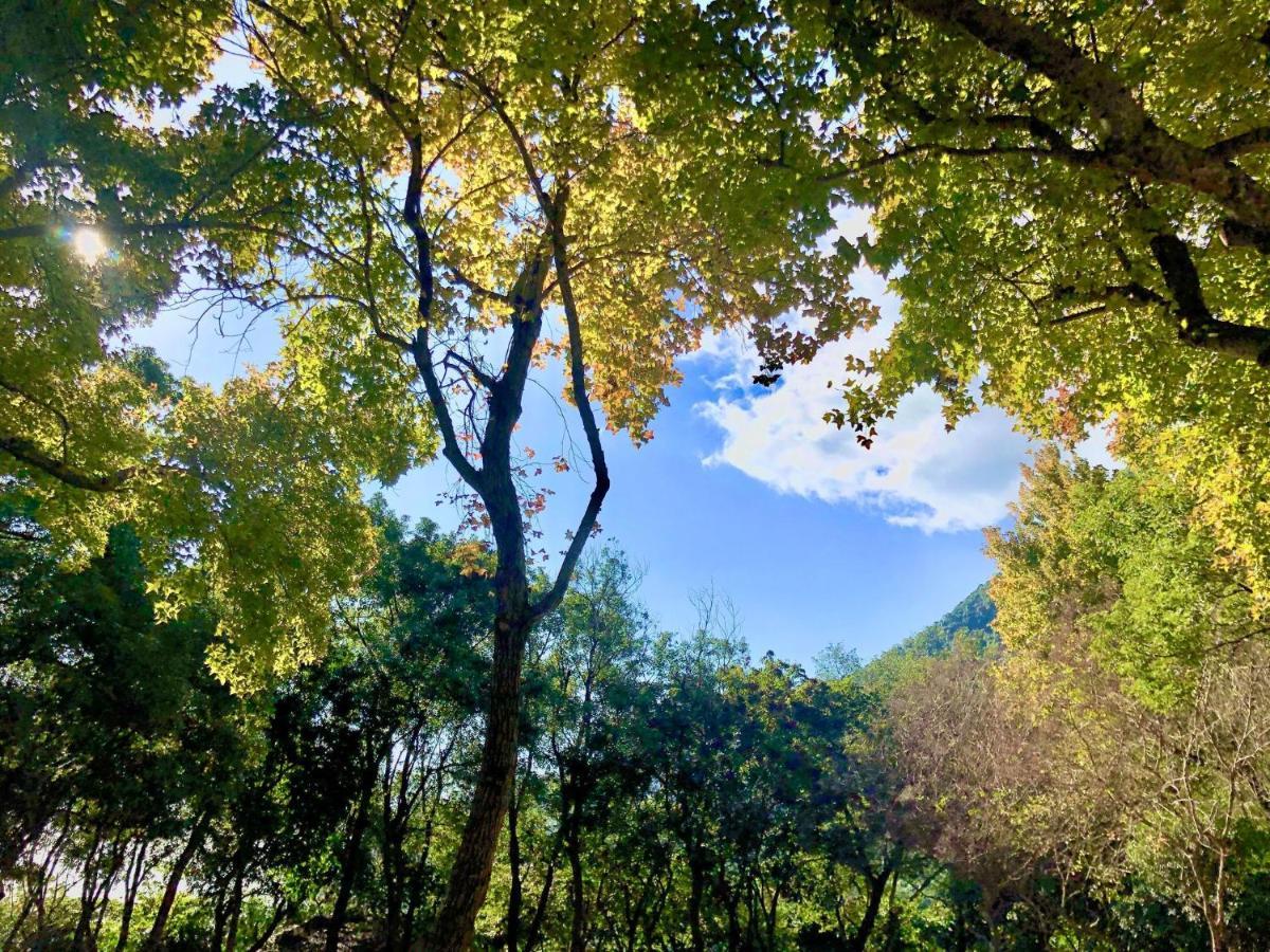 慢水山丘民宿 Slow Water Hill Yuemei Eksteriør bilde